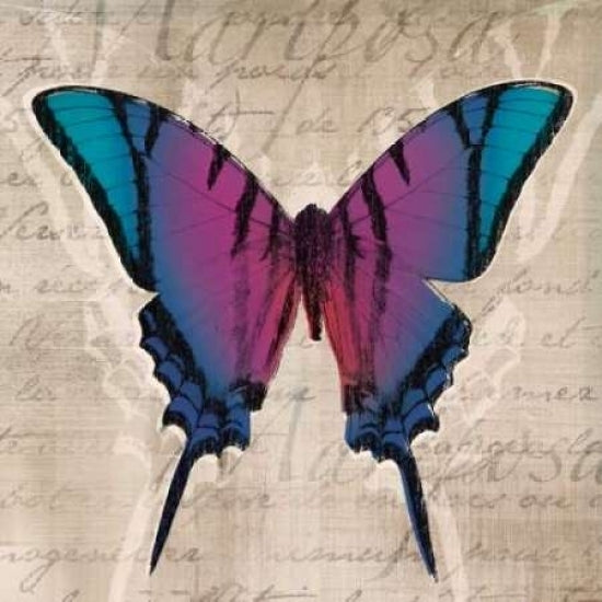 Butterflies IV Poster Print by Tandi Venter-VARPDX18105 Image 1