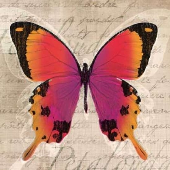 Butterflies III Poster Print by Tandi Venter-VARPDX18104 Image 1