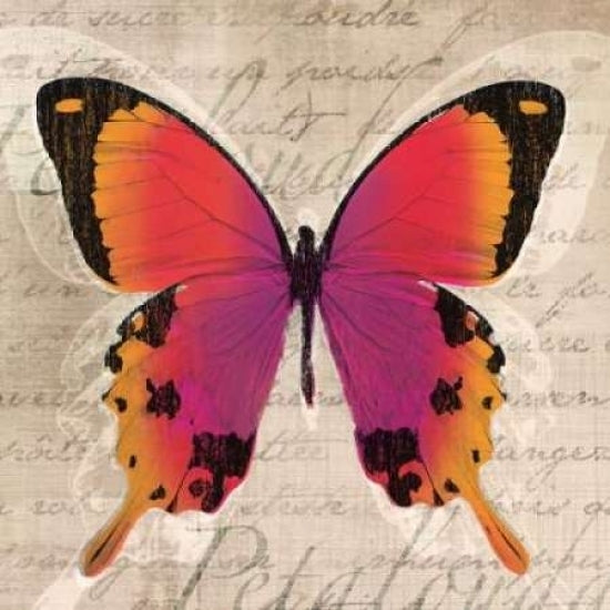 Butterflies III Poster Print by Tandi Venter-VARPDX18104 Image 2