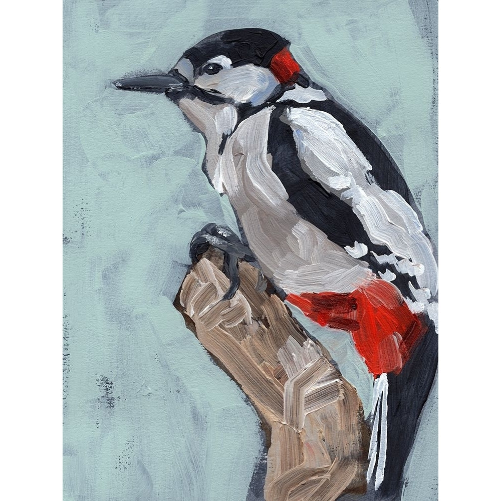 Woodpecker Paintstrokes I Poster Print - Jennifer Paxton Parker-VARPDX181059Z Image 1