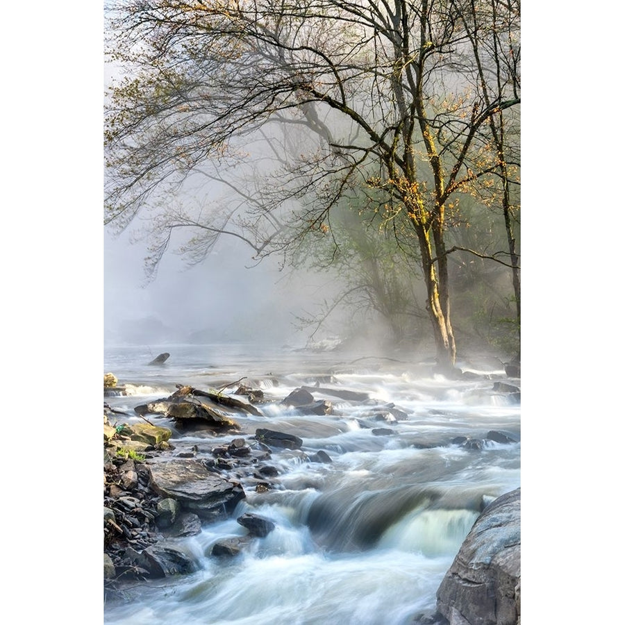 Crisp Mist Poster Print - Danny Head-VARPDX181110 Image 1