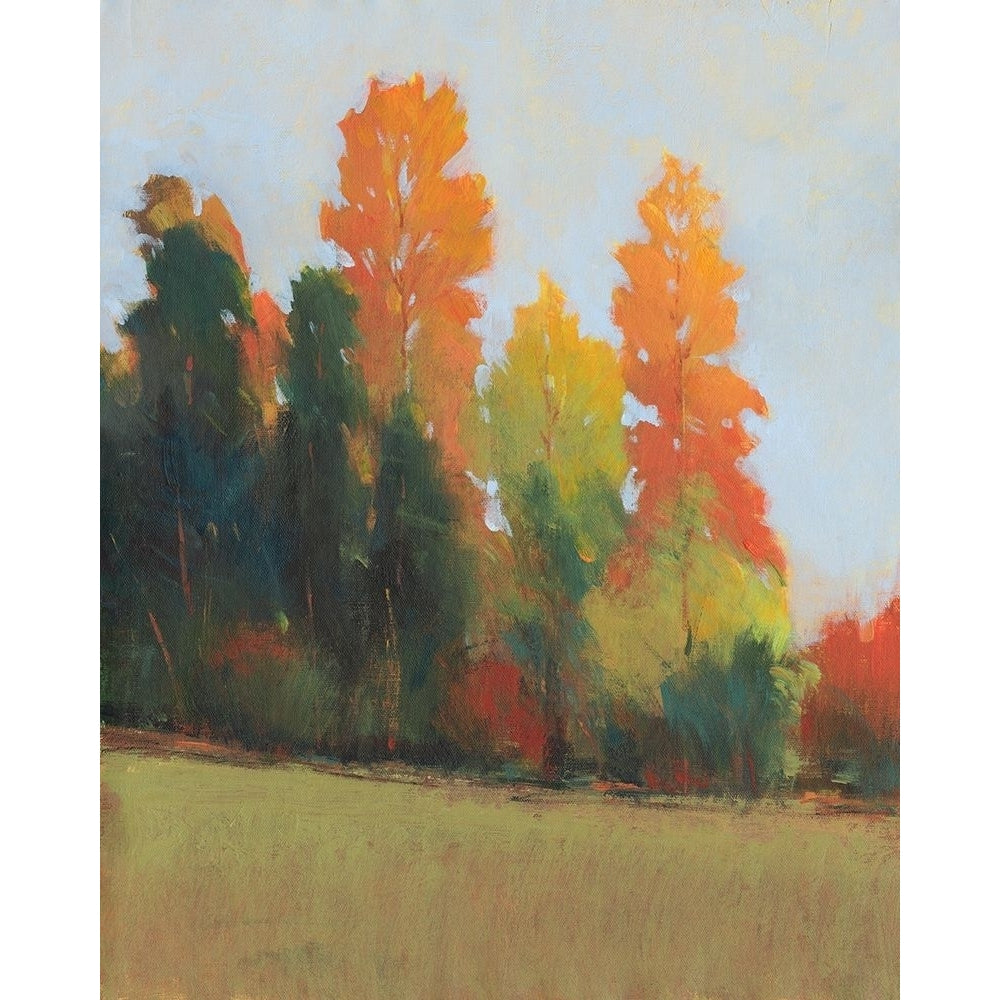 Fall Colors II Poster Print - Tim OToole-VARPDX181239FN Image 1