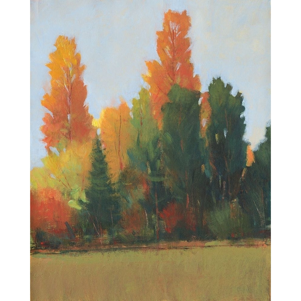 Fall Colors I Poster Print - Tim OToole-VARPDX181238FN Image 1