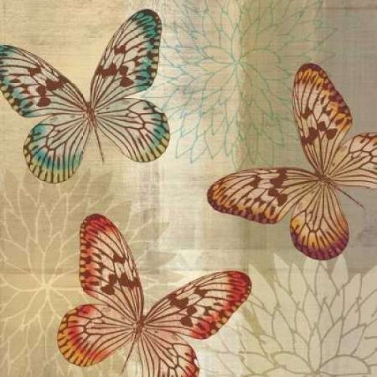 Tropical Butterflies II Poster Print by Tandi Venter-VARPDX18133 Image 1