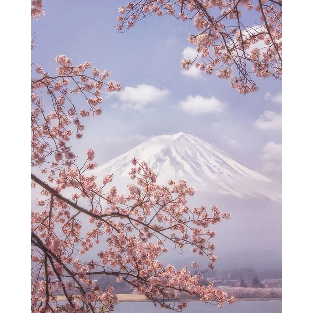 Mt.Fuji In The Cherry Blossoms Poster Print - Makiko Samejima-VARPDX1814323 Image 1