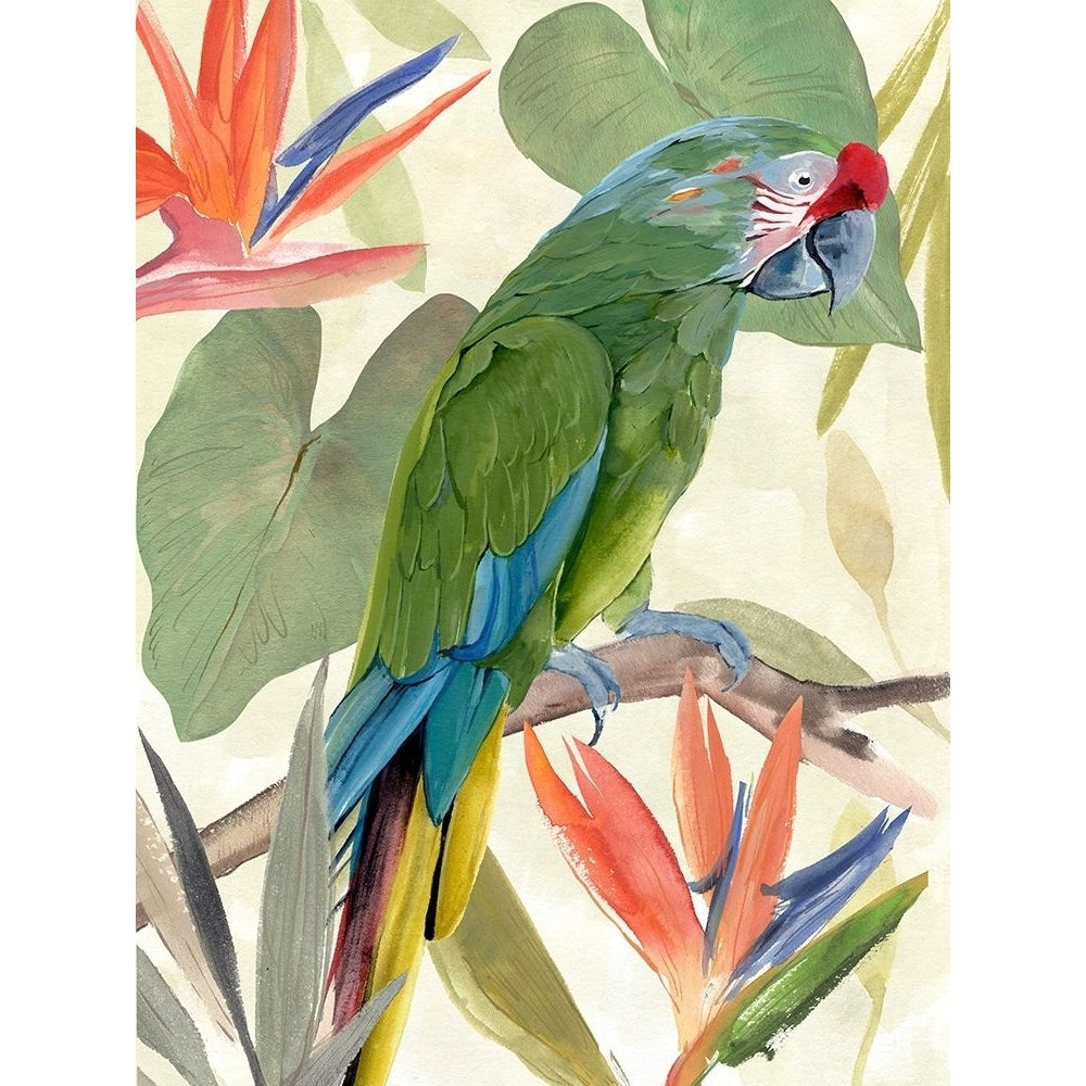 Tropical Parrot Composition I Poster Print - Annie Warren-VARPDX181537Z Image 1