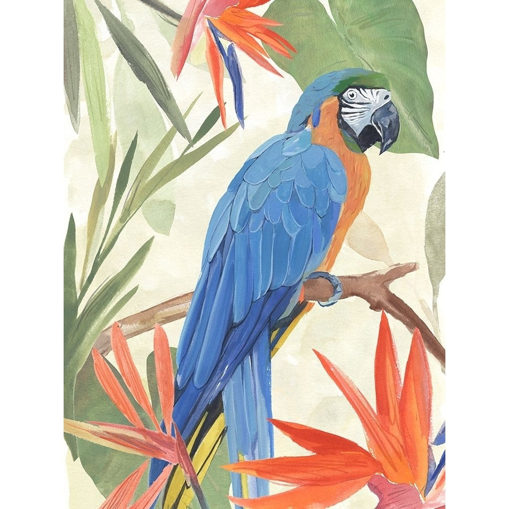 Tropical Parrot Composition IV Poster Print - Annie Warren-VARPDX181540Z Image 1