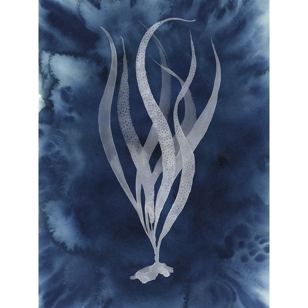 Midnight Kelp I Poster Print - Grace Popp-VARPDX181688Z Image 1