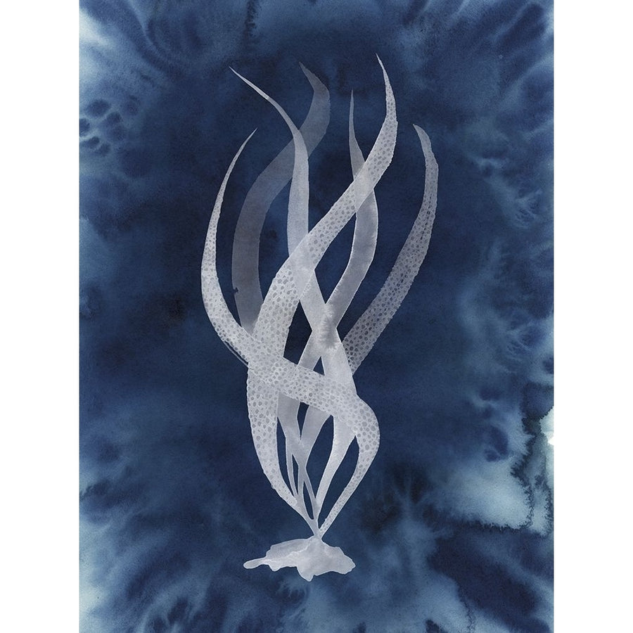 Midnight Kelp II Poster Print - Grace Popp-VARPDX181689Z Image 1