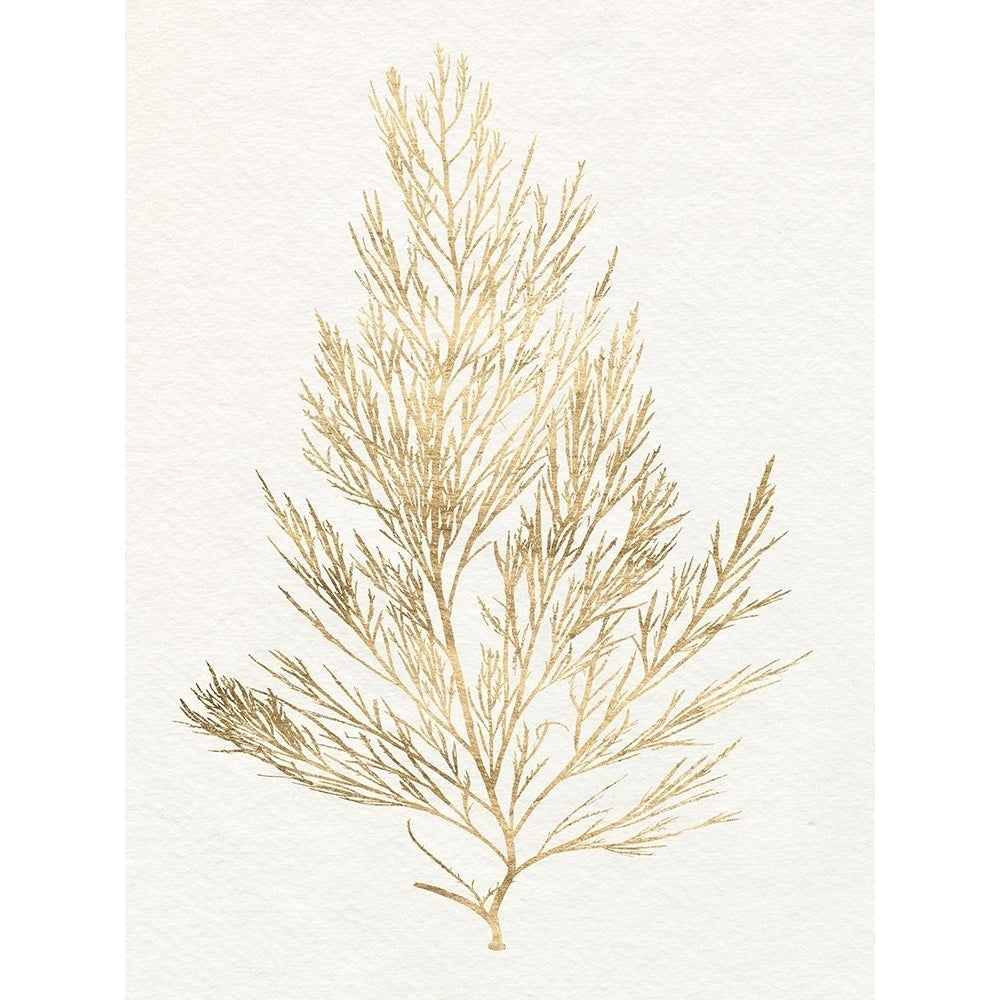 Gilded Algae V Poster Print - Jennifer Goldberger-VARPDX181761Z Image 1