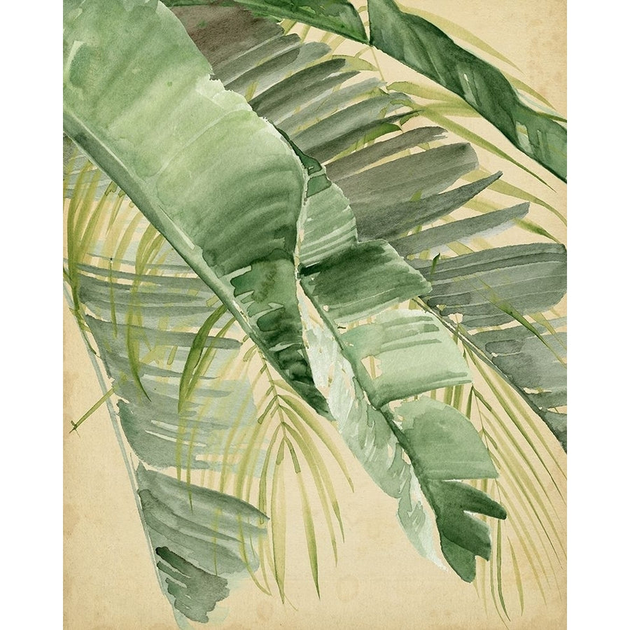 Banana Palms I Poster Print - Jennifer Paxton Parker-VARPDX181755Z Image 1