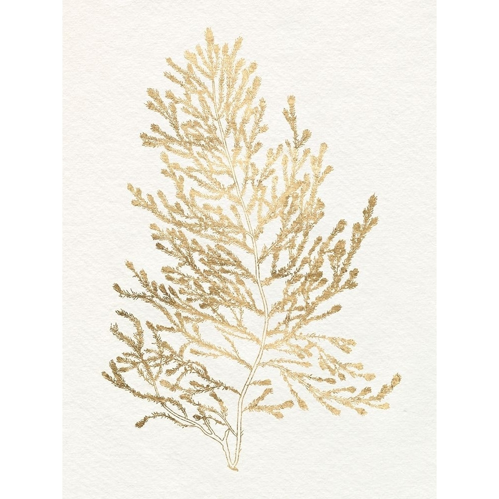 Gilded Algae IV Poster Print - Jennifer Goldberger-VARPDX181760Z Image 1