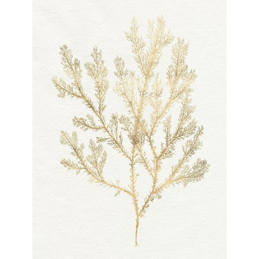 Gilded Algae VI Poster Print - Jennifer Goldberger-VARPDX181762Z Image 1