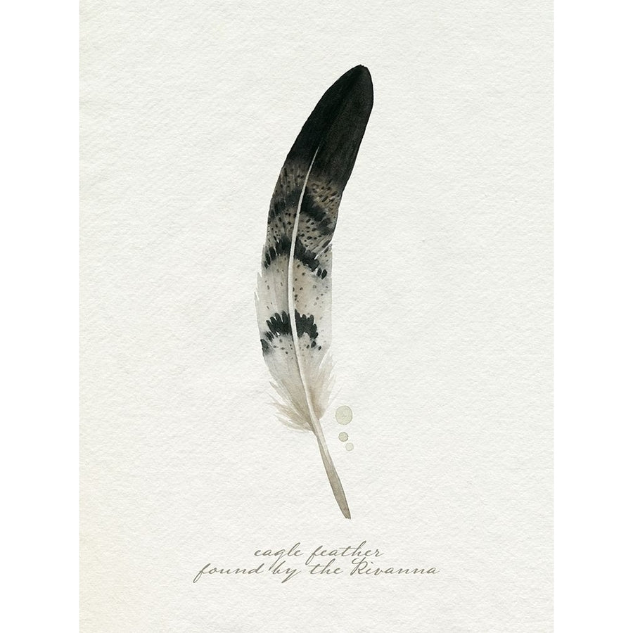 Found Feather I Poster Print - Grace Popp-VARPDX181877Z Image 1