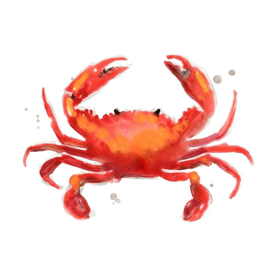 Crab Cameo I Poster Print - June Erica Vess-VARPDX181849Z Image 1