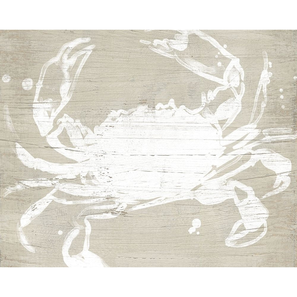 Weathered Crab I Poster Print - June Erica Vess-VARPDX182029Z Image 1