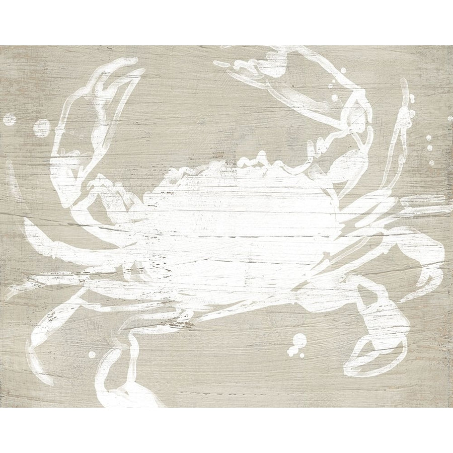 Weathered Crab I Poster Print - June Erica Vess-VARPDX182029Z Image 1