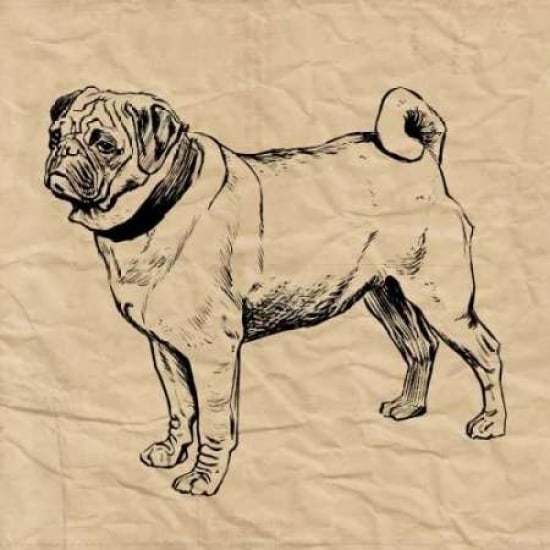 Pug Poster Print by Sabine Berg-VARPDX18206 Image 1