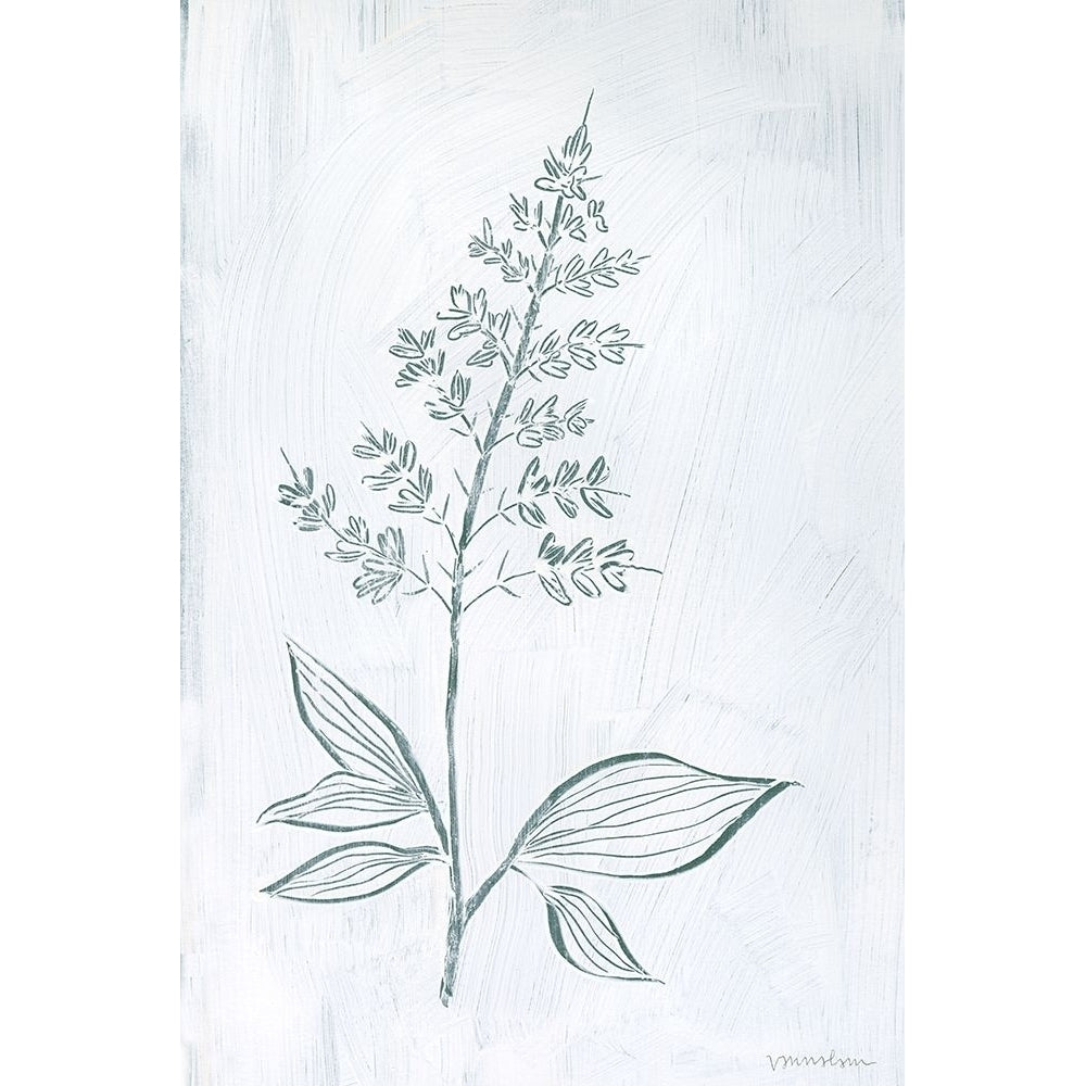 Milkweeds IV Poster Print - Vanna Lam-VARPDX182066Z Image 1