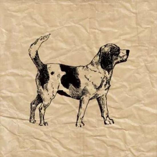 Beagle Poster Print by Sabine Berg-VARPDX18209 Image 1