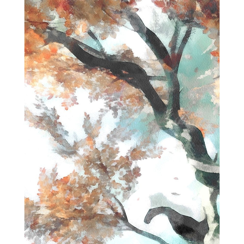 Fall Tree II Poster Print - Alonzo Saunders-VARPDX182276Z Image 1