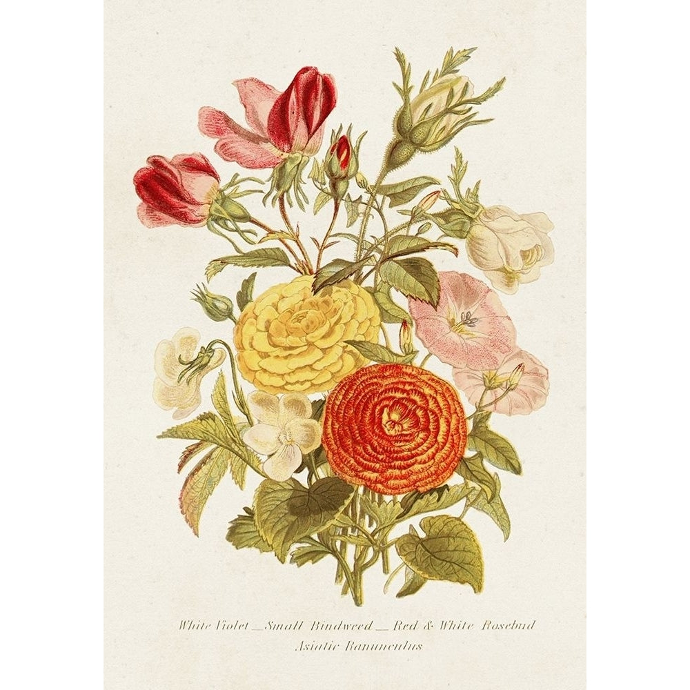 Antique Floral Bouquet I Poster Print - Unknown-VARPDX182390Z Image 1