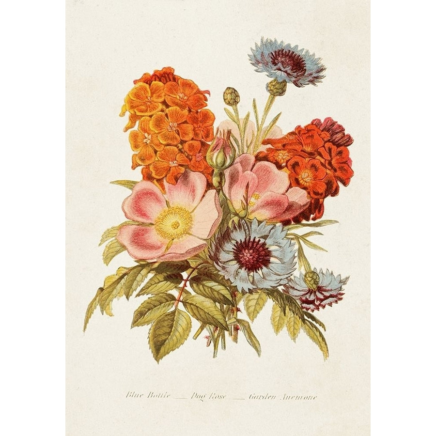 Antique Floral Bouquet II Poster Print - Unknown-VARPDX182391Z Image 1