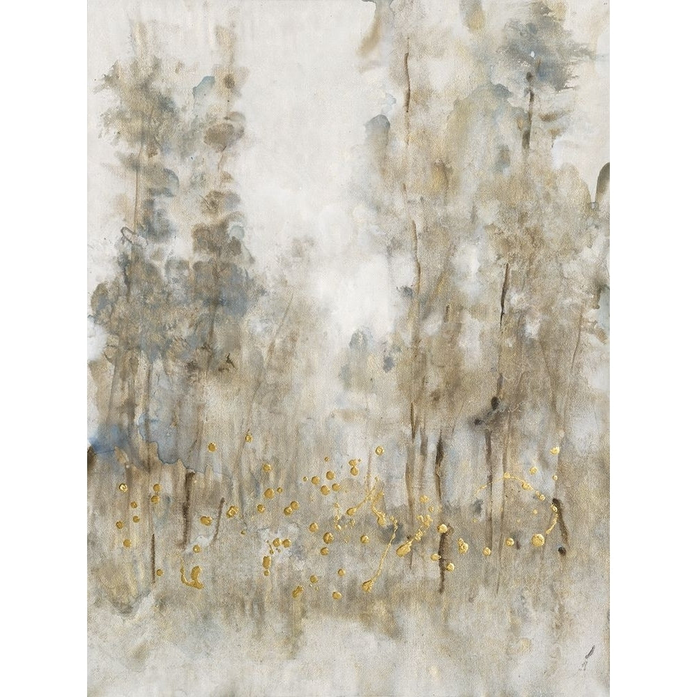 Thicket of Trees II Poster Print - Tim OToole-VARPDX182586FNE Image 1