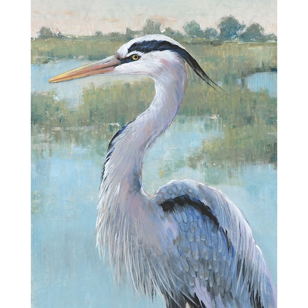 Blue Heron Portrait I Poster Print - Tim OToole-VARPDX182937FN Image 1