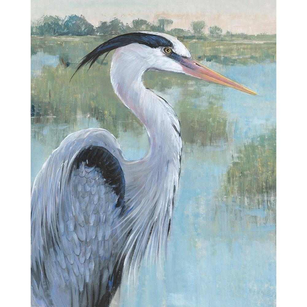 Blue Heron Portrait II Poster Print - Tim OToole-VARPDX182938FN Image 1