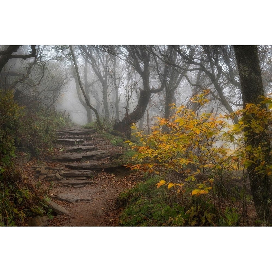 Stone Steps Poster Print - Danny Head-VARPDX183301Z Image 1