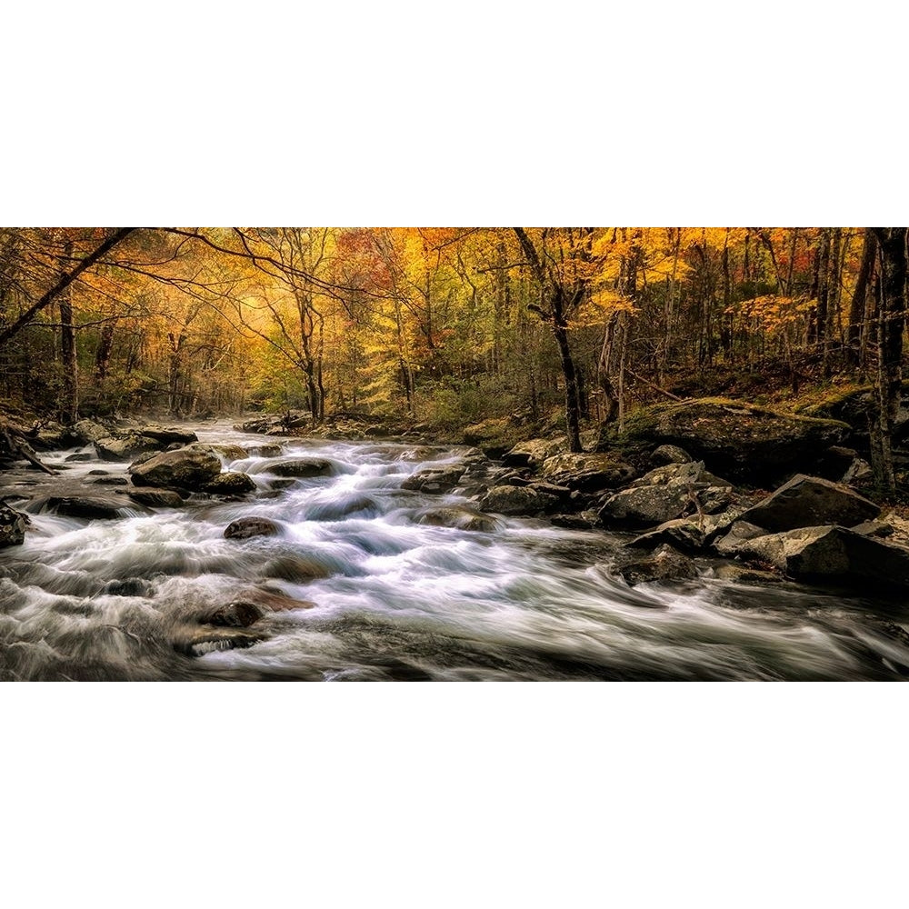 Autumn Bliss Poster Print - Danny Head-VARPDX183305Z Image 1