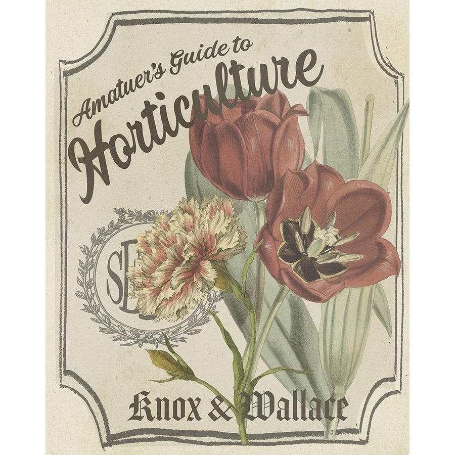 Vintage Seed Packets I Poster Print - W Studio-VARPDX183888Z Image 1