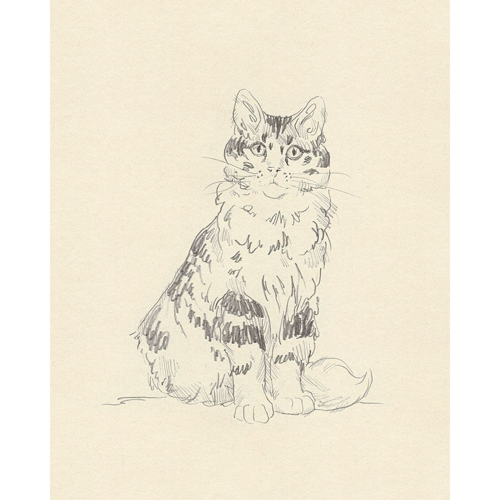 House Cat III Poster Print - Jacob Green-VARPDX184172Z Image 1