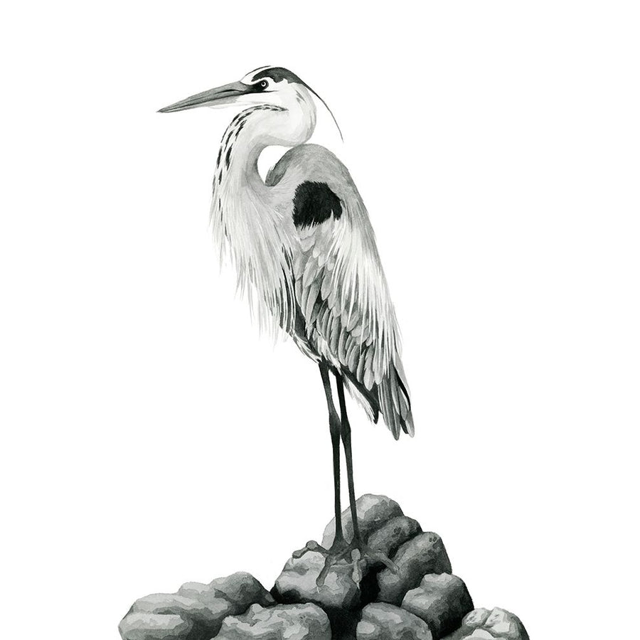 Shoreline Heron in BandW II Poster Print - Grace Popp-VARPDX184169Z Image 1