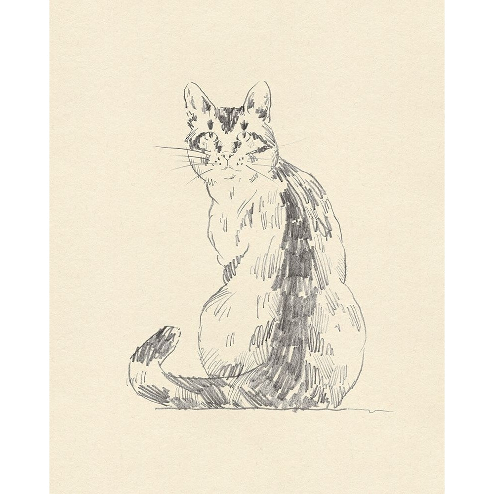 House Cat V Poster Print - Jacob Green-VARPDX184174Z Image 1