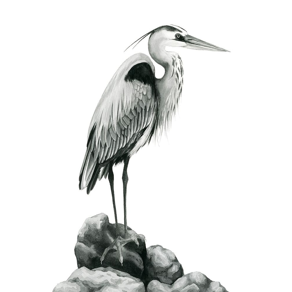 Shoreline Heron in BandW I Poster Print - Grace Popp-VARPDX184168Z Image 1