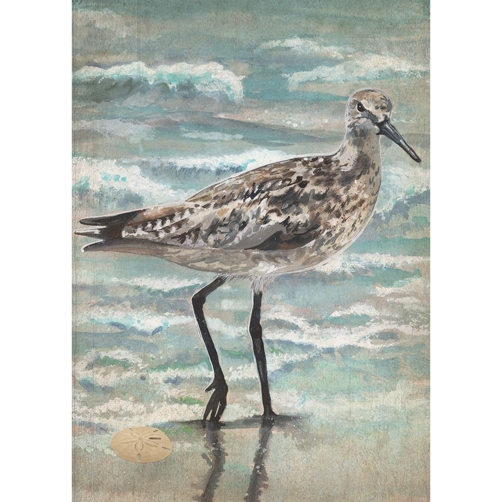 Strolling Sandpiper Poster Print - Erica Christopher-VARPDX18417B Image 1