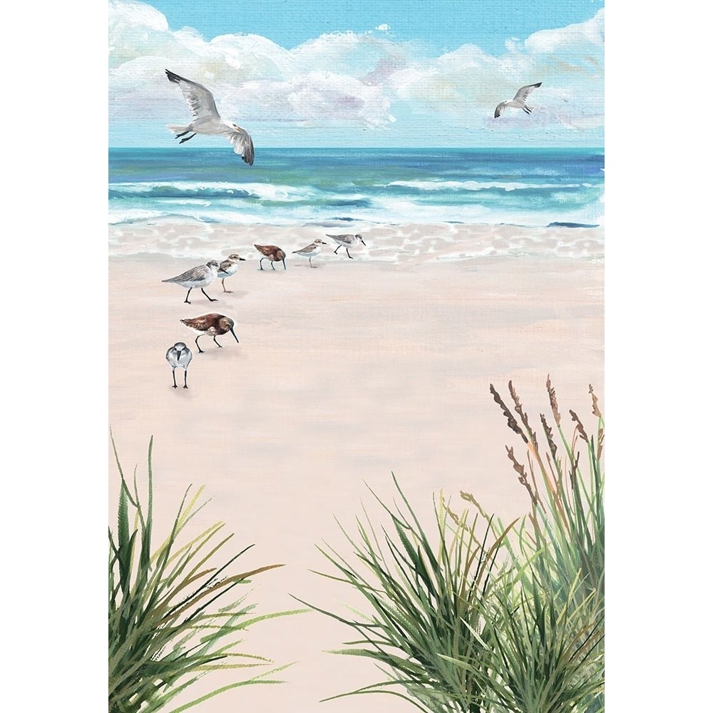 Seagulls On The Beach Poster Print - Erica Christopher-VARPDX18422B Image 1