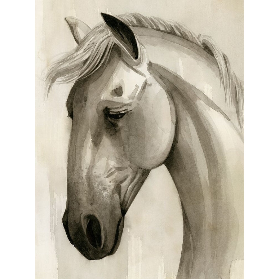 Freckled Pony I Poster Print - Grace Popp-VARPDX184312Z Image 1