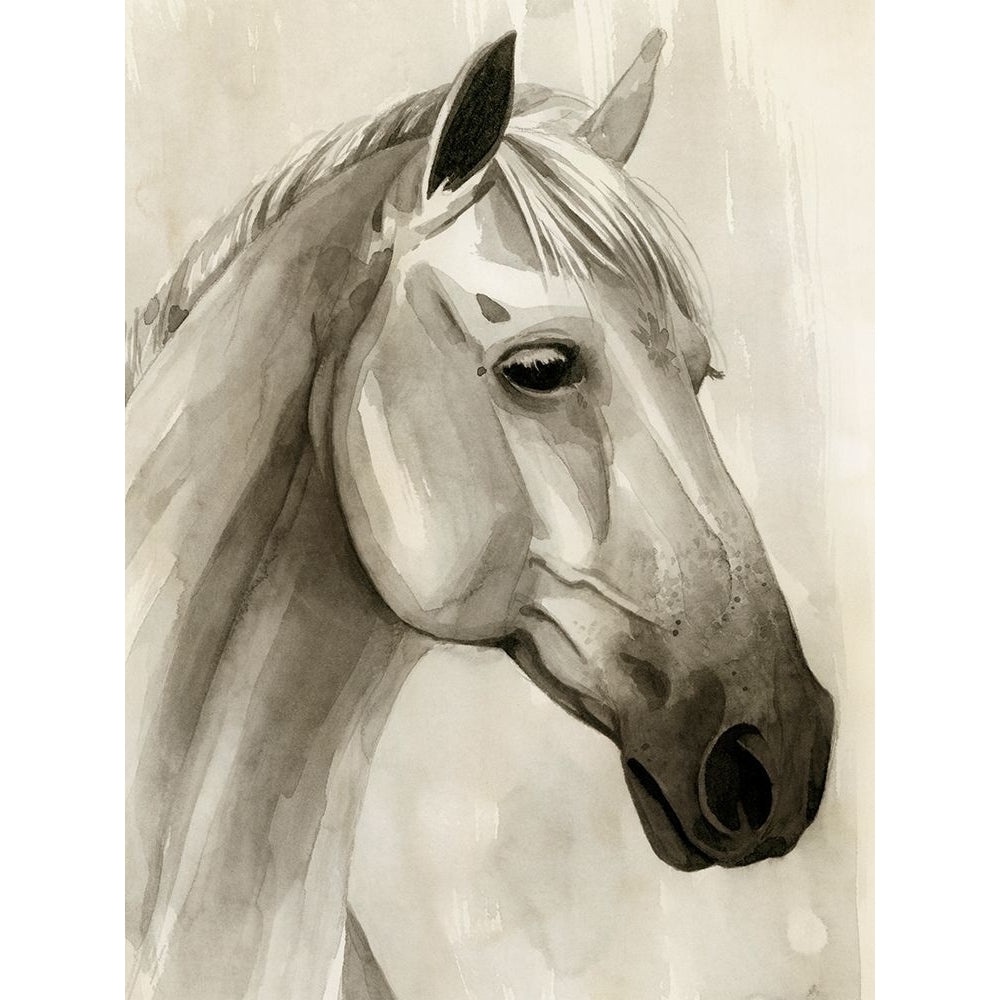 Freckled Pony II Poster Print - Grace Popp-VARPDX184313Z Image 1