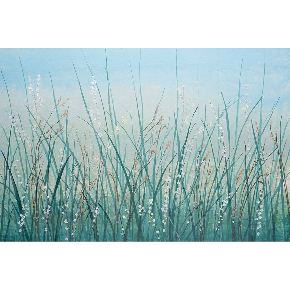 Tall Grass I Poster Print - Tim OToole-VARPDX184333FN Image 1