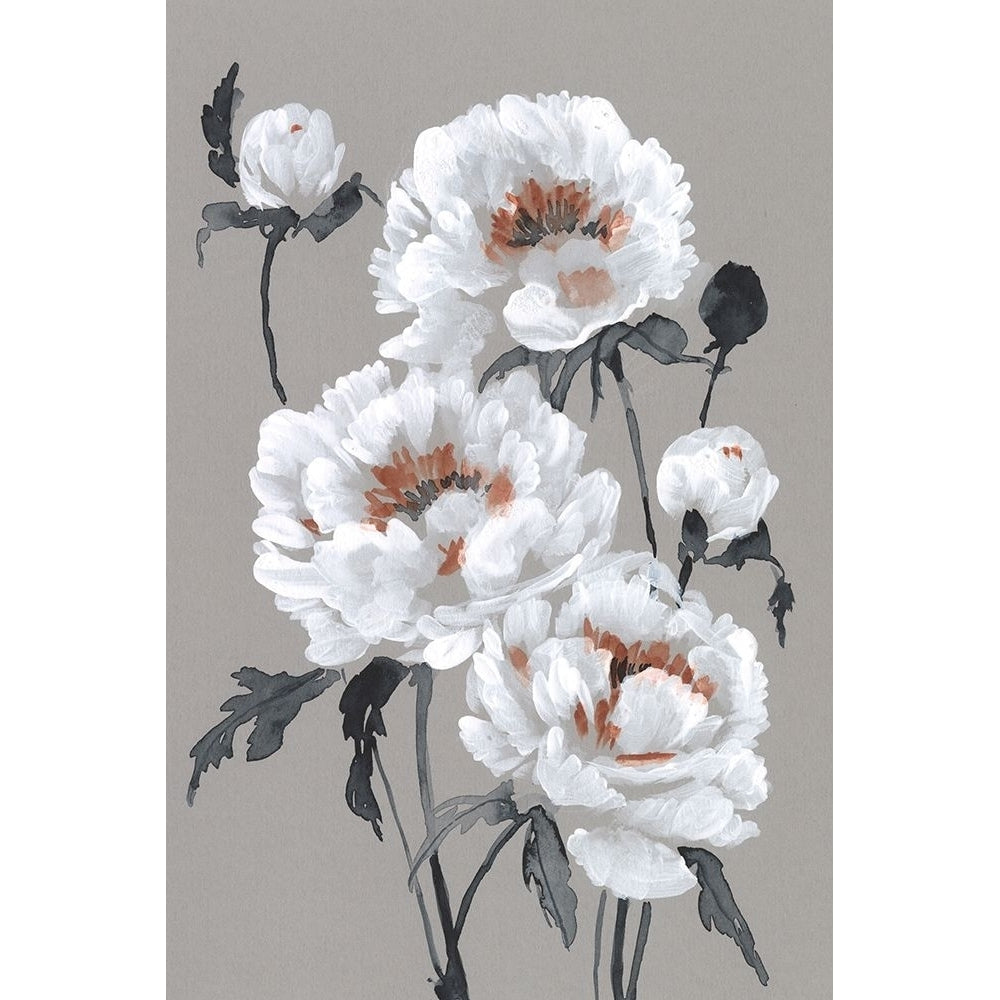 Peony Profusion I Poster Print - Jennifer Goldberger-VARPDX184363FN Image 1