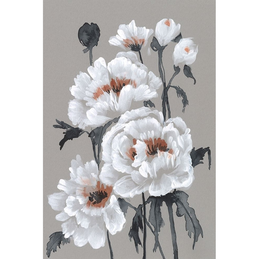 Peony Profusion II Poster Print - Jennifer Goldberger-VARPDX184364FN Image 1