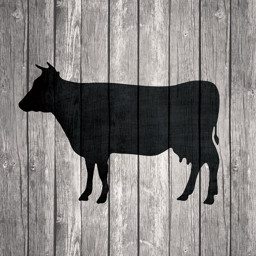 Barn Cow Poster Print by Tandi Venter-VARPDX18449 Image 1