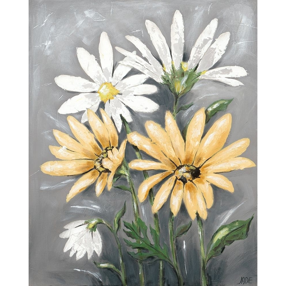 Summer Daisies II Poster Print - Jade Reynolds-VARPDX184524Z Image 1