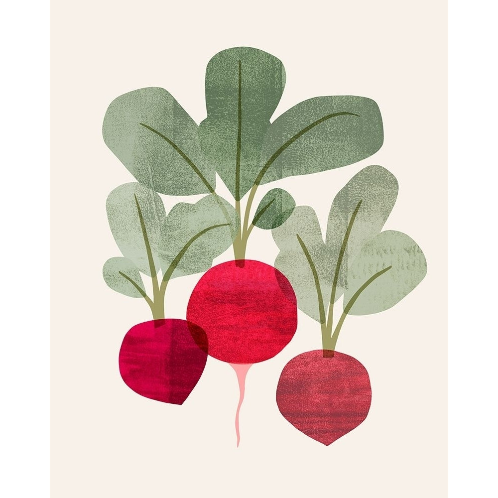 Organic Veg I Poster Print - Victoria Barnes-VARPDX184590Z Image 1