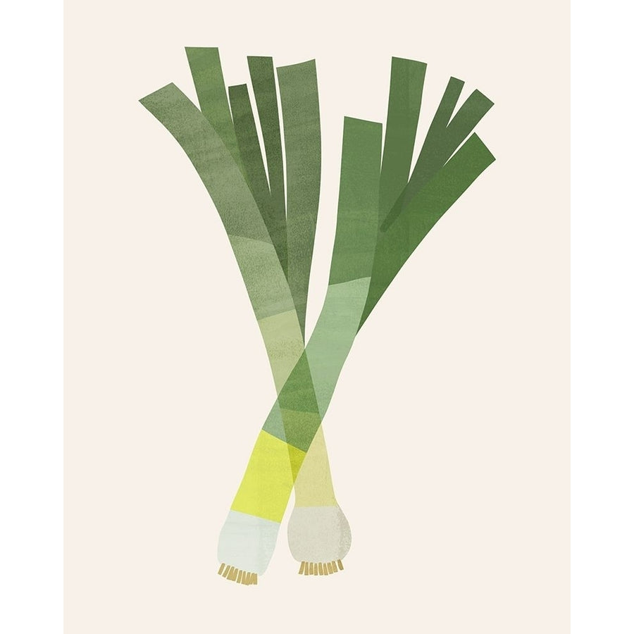 Organic Veg II Poster Print - Victoria Barnes-VARPDX184591Z Image 1