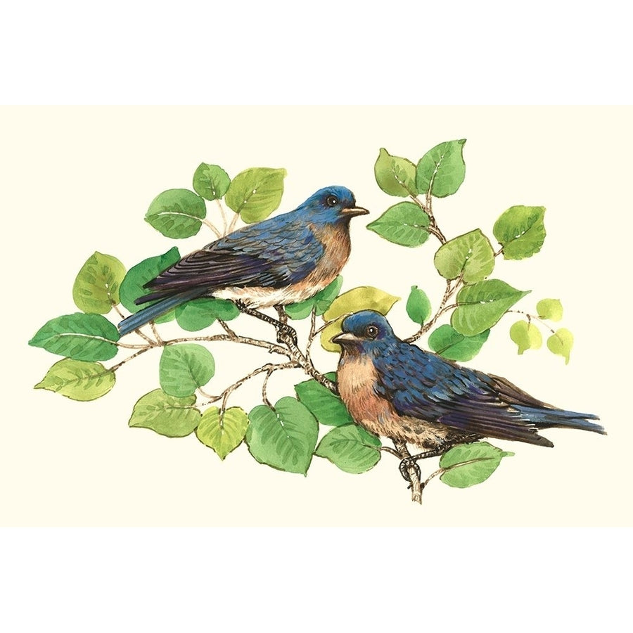 Song Birds I Poster Print - Tim OToole-VARPDX184563Z Image 1