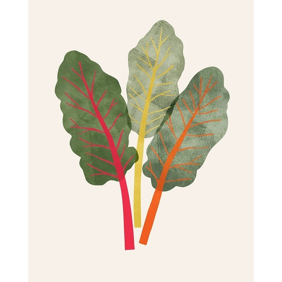 Organic Veg V Poster Print - Victoria Barnes-VARPDX184594Z Image 1